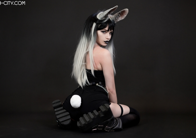 Black_Bunny